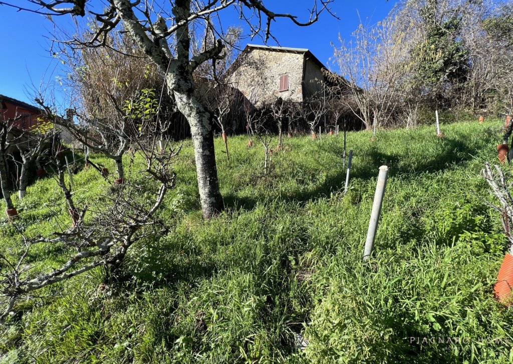 Vendita Case nel borgo Bagnone - Casa nel borgo Località Vespeno